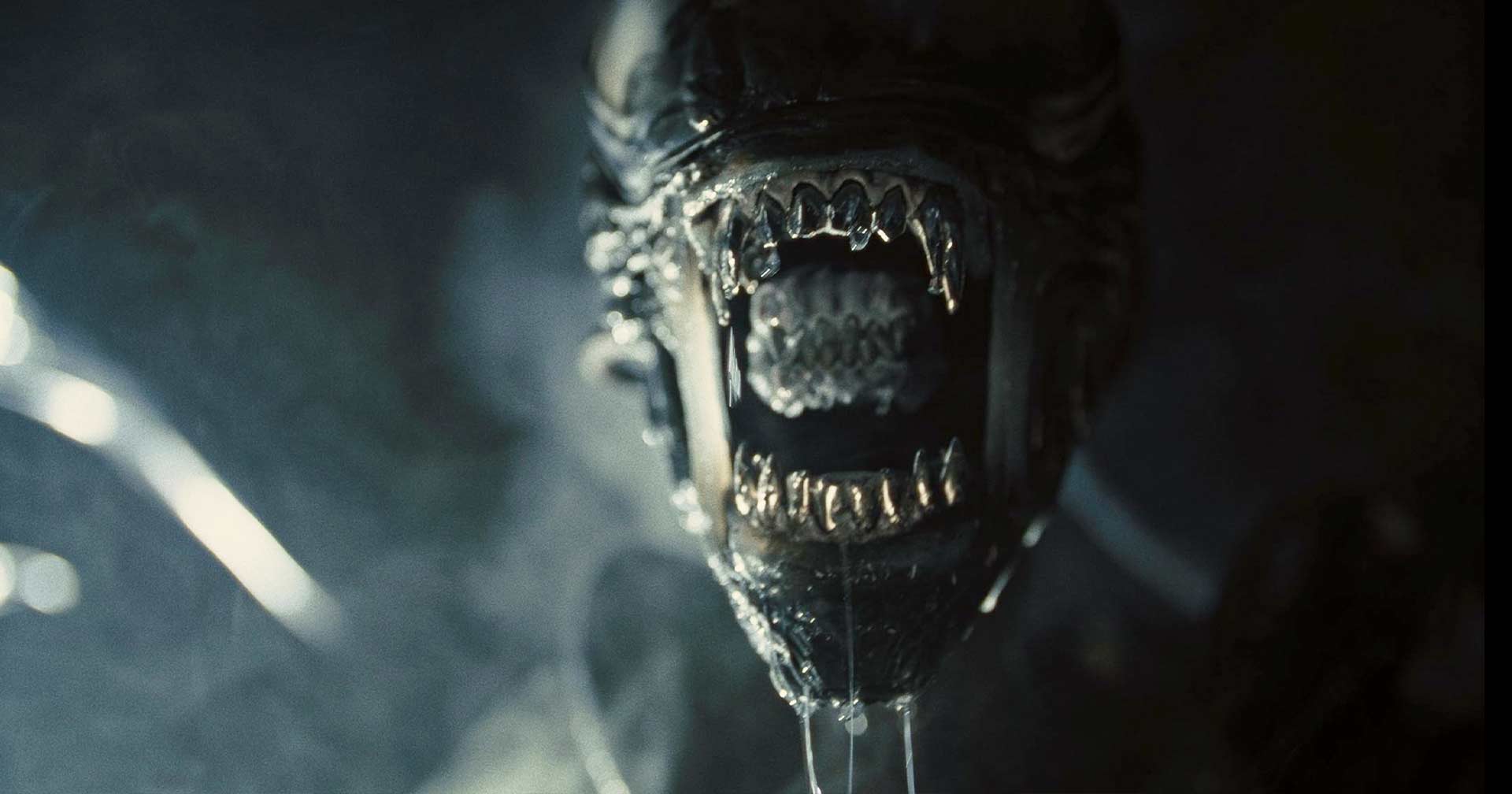 Como novo 'Alien: Romulus' se encaixa na cronologia da franquia? -  Ingresso.com