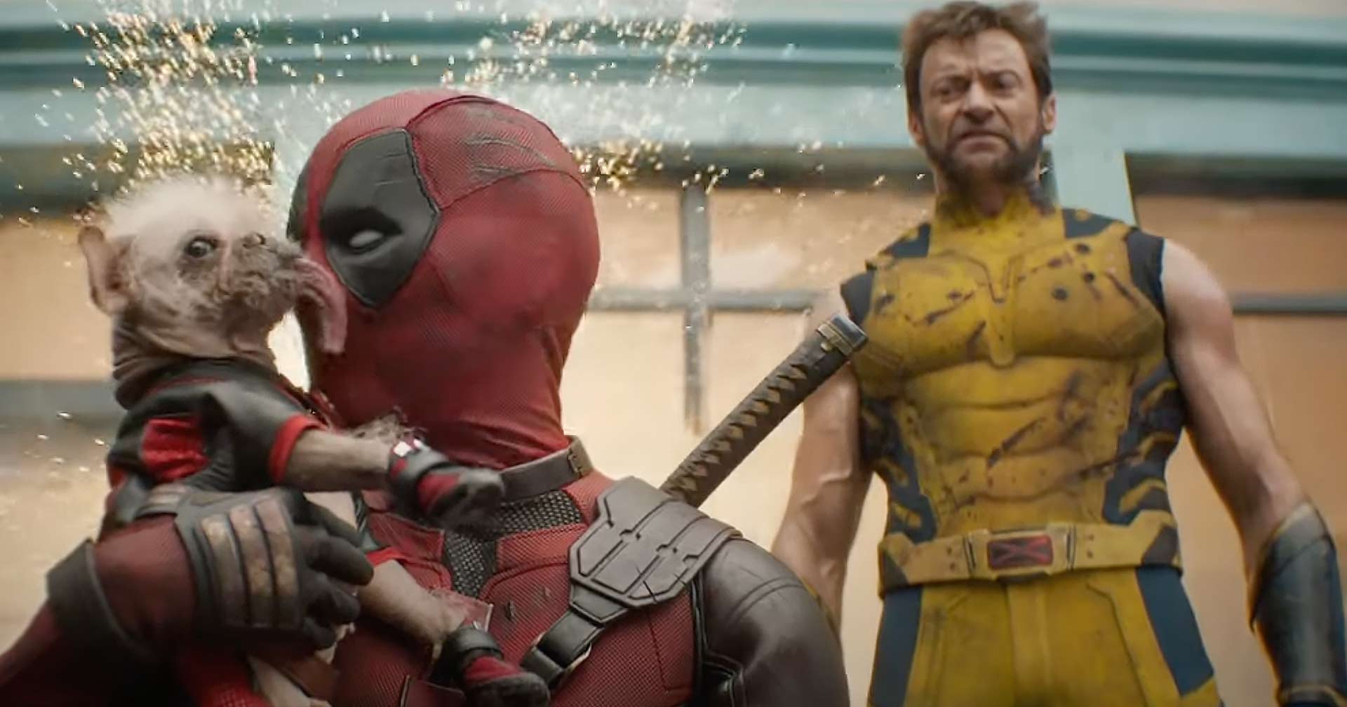 Ao som de Madonna, mutantes quebram tudo em novo trailer de 'Deadpool e  Wolverine'; assista - Ingresso.com