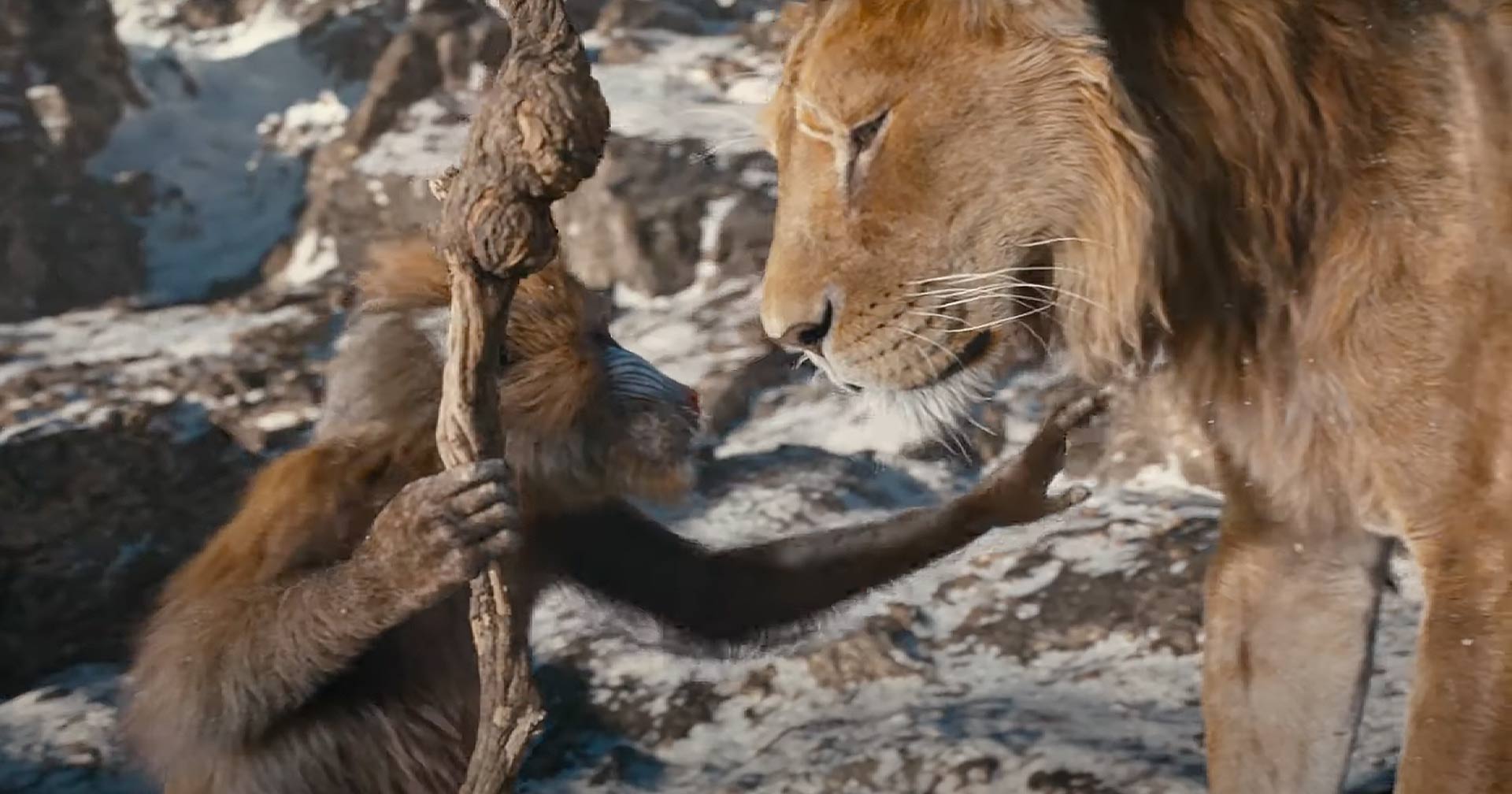 Trailer de 'Mufasa', prelúdio de 'O Rei Leão', é divulgado; assista