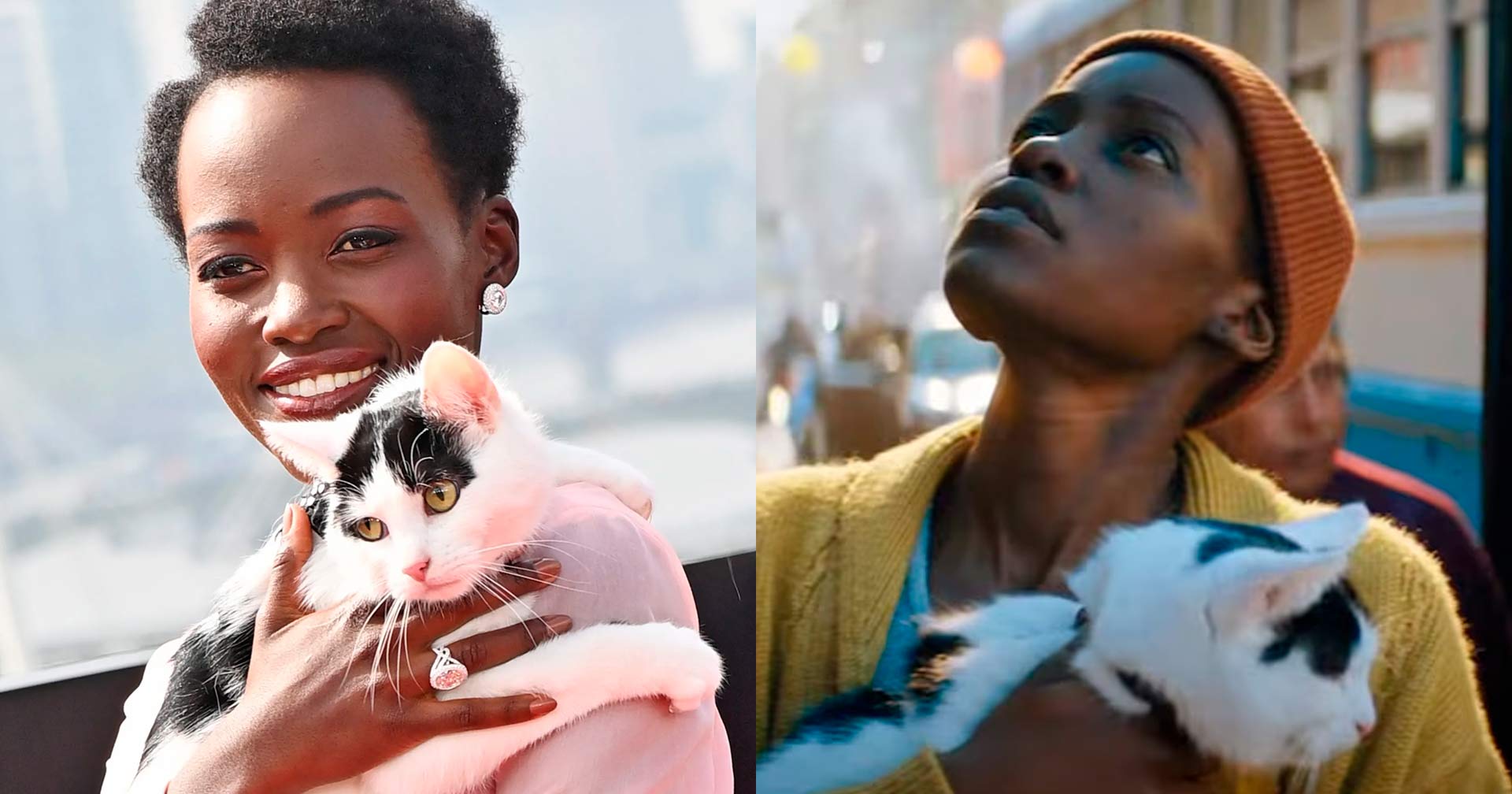 EXCLUSIVO: Lupita Nyong'o conta como novo 'Um Lugar Silencioso' ajudou a superar fobia de gatos