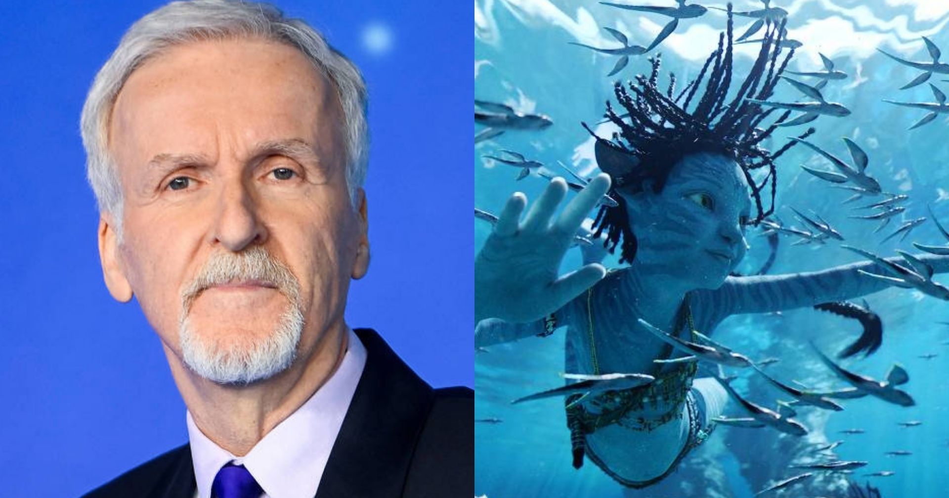 James Cameron Revela O Significado Do Título De ‘Avatar: Fire And Ash ...