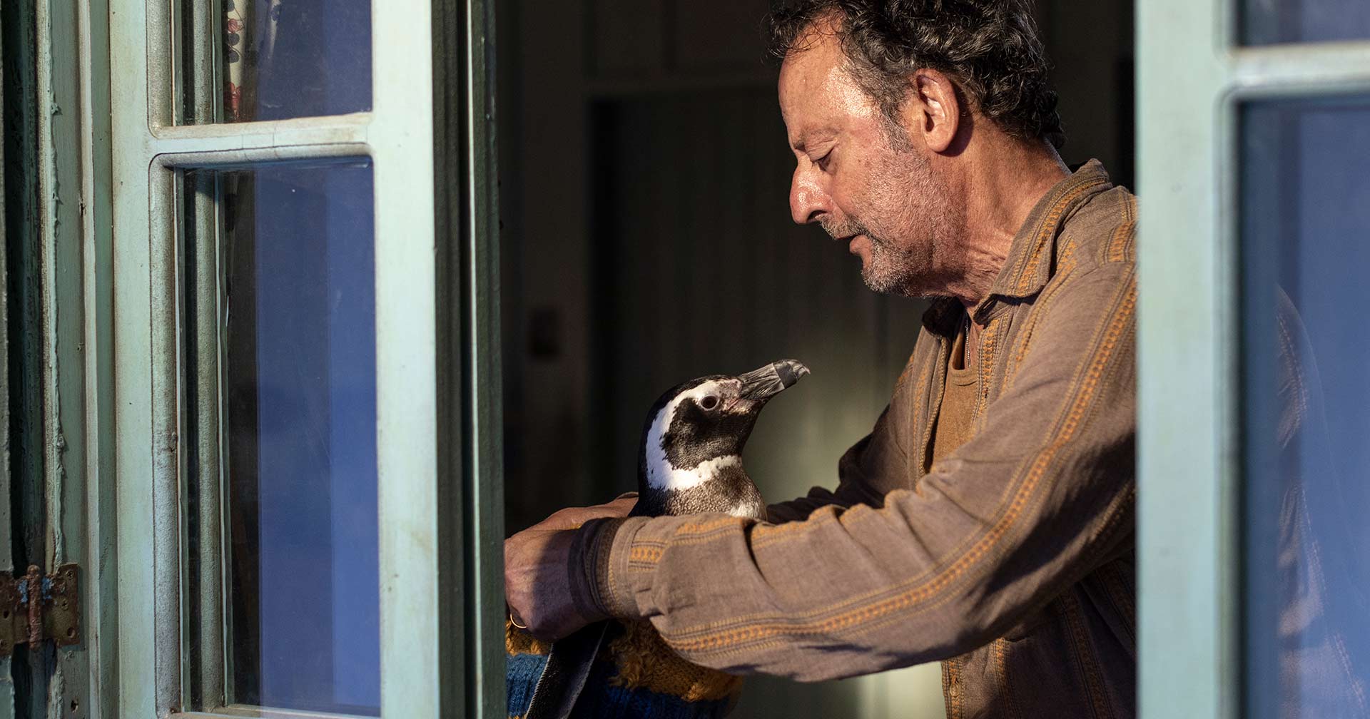 Diretor revela curiosidades sobre 'Meu Amigo Pinguim', filme inspirado em história real