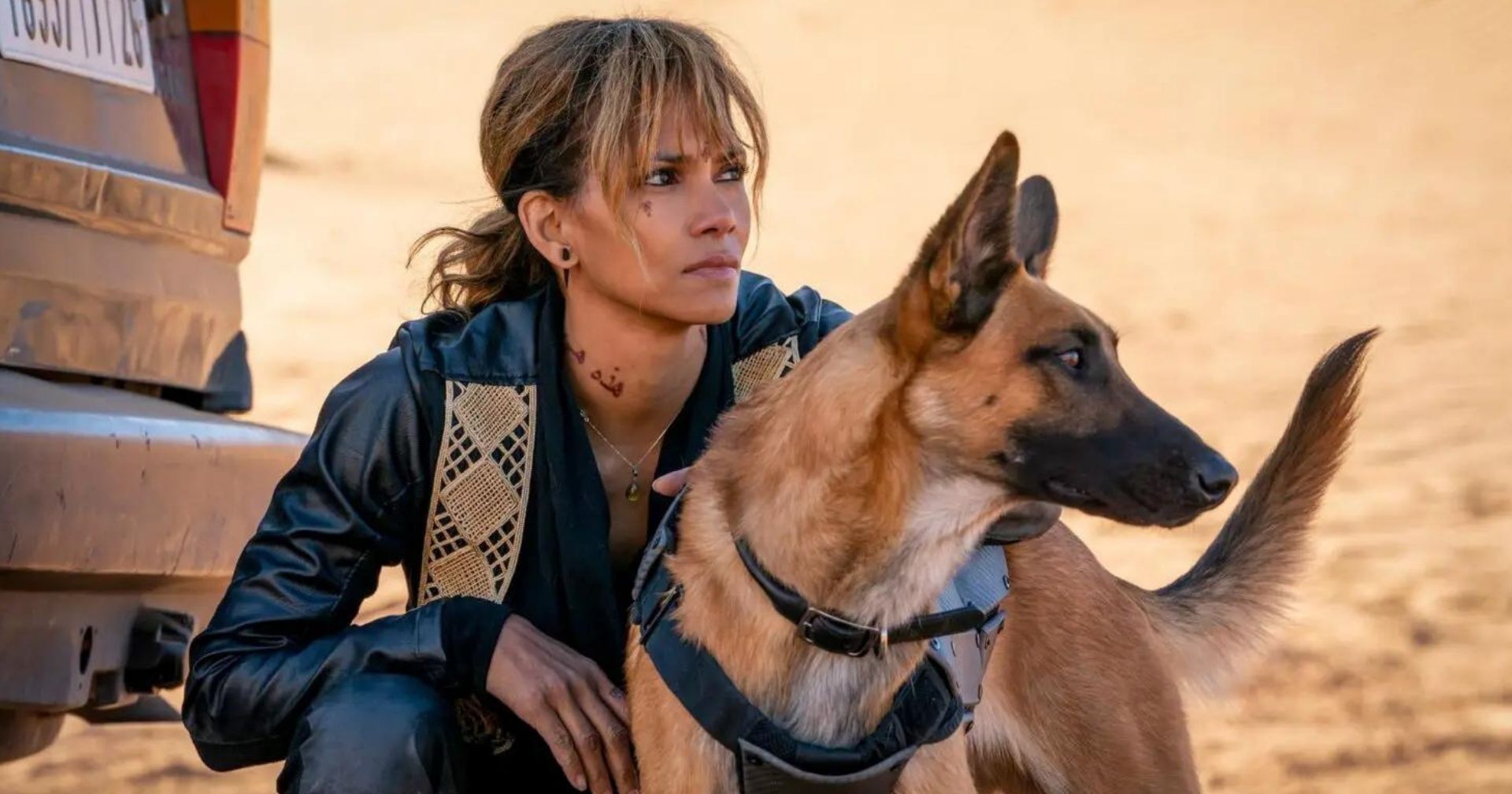 Halle Berry revela conversas para retornar em spin-off de ‘John Wick’ e atualiza status de produção