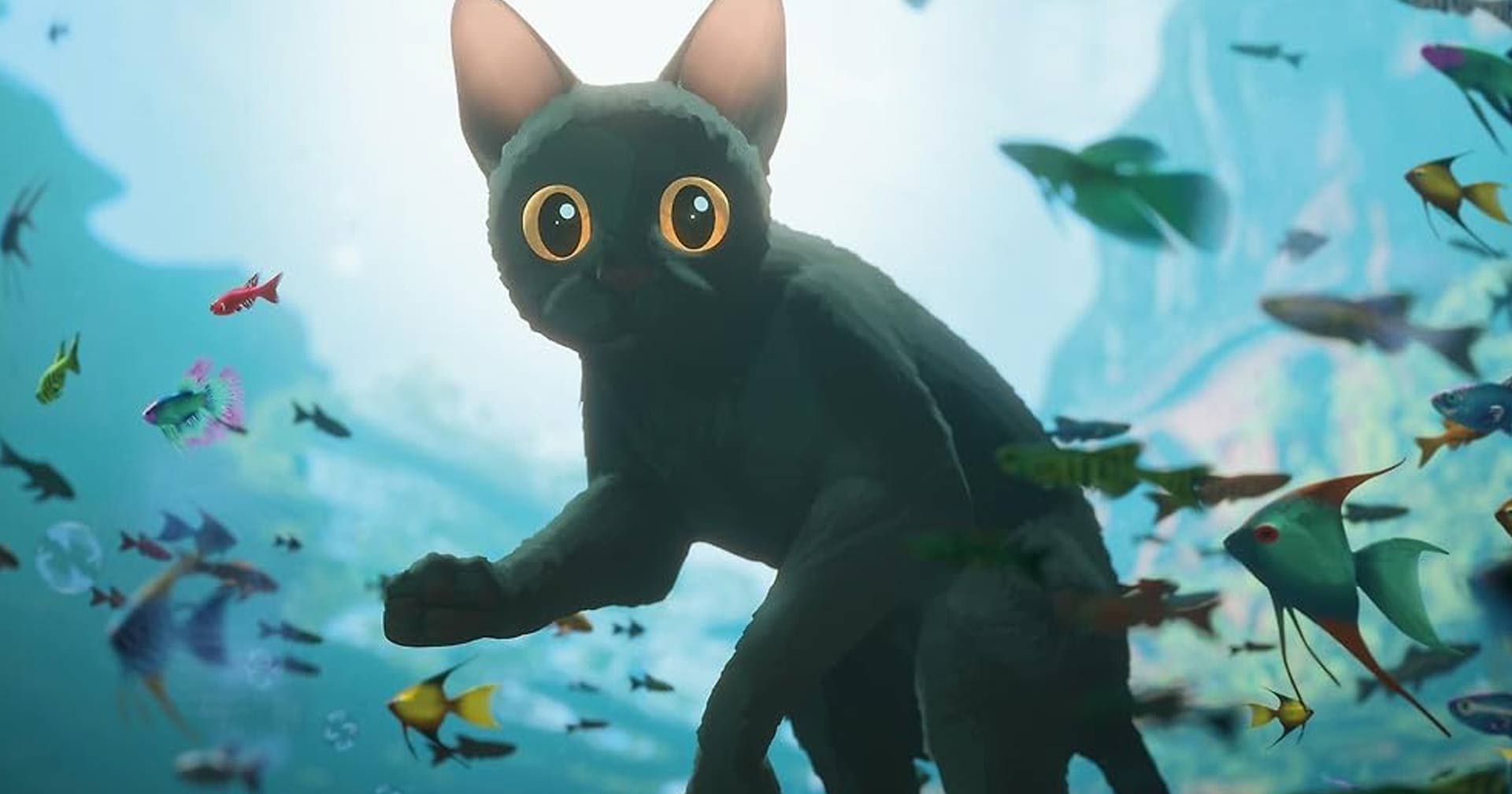 ‘Flow’, animação vencedora do Globo de Ouro, ganha nova data de estreia nos cinemas do Brasil