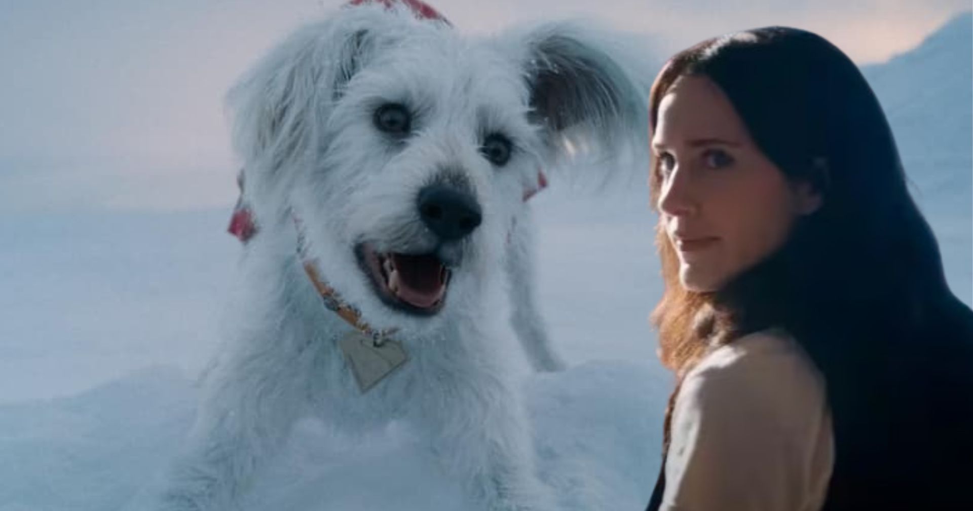 Atriz comenta dinâmica de Lois Lane e Krypto em ‘Superman’; possível data de novo trailer é revelada