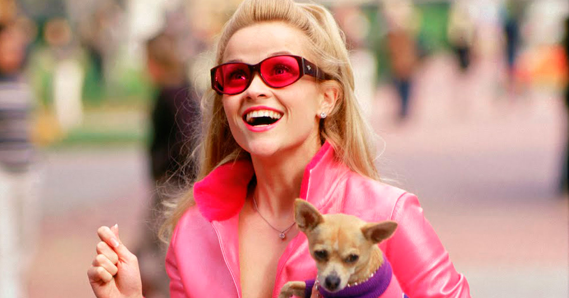 Legalmente Loira 3 | Reese Witherspoon revela atualizações sobre a sequência