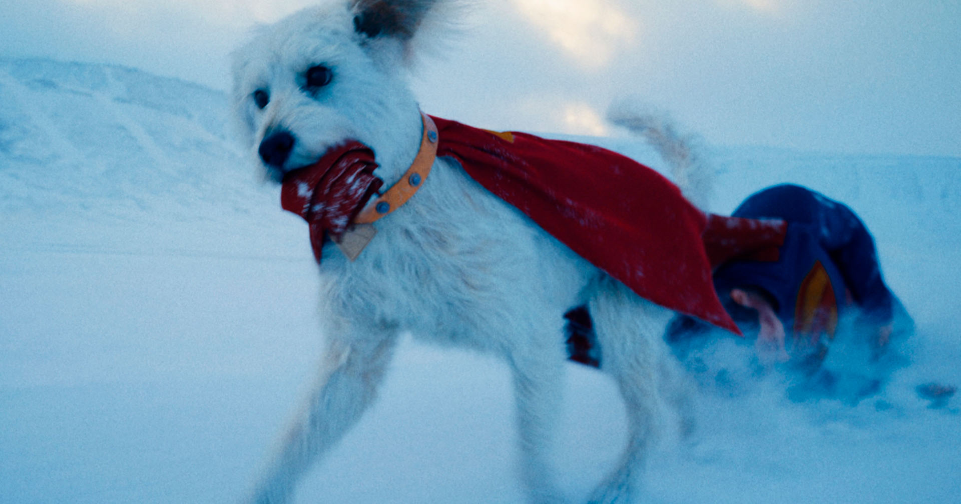 James Gunn insinua que Krypto vai ganhar uma série animada; entenda