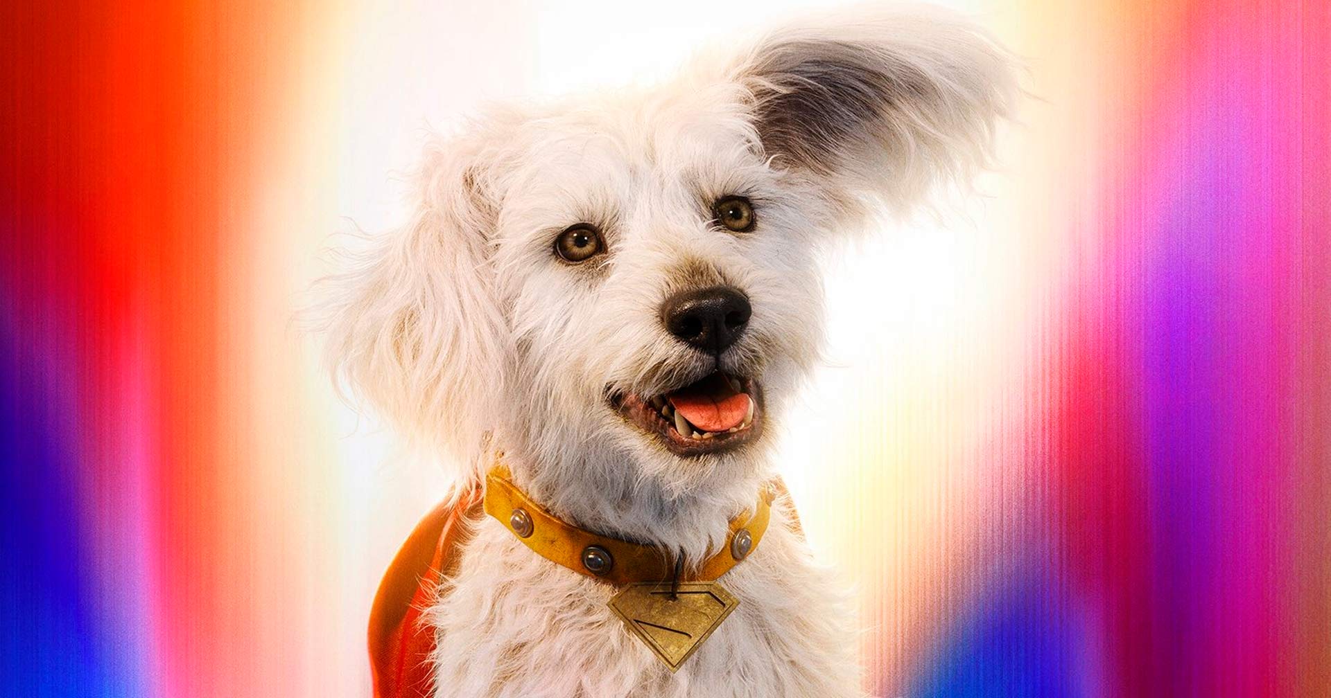 Krypto quase protagonizou cena de abertura mais sombria e cômica em ‘Superman’; entenda