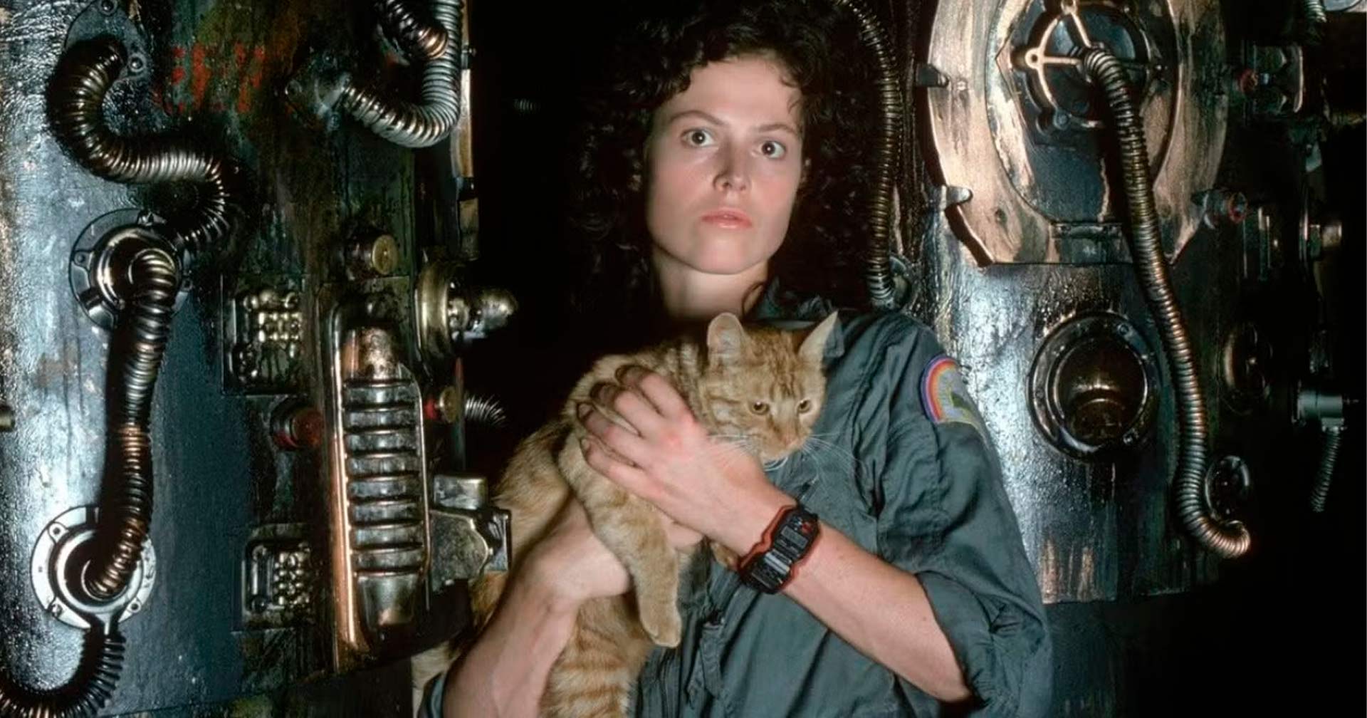Sigourney Weaver vai retornar como Ellen Ripley em novo filme da franquia ‘Alien’?