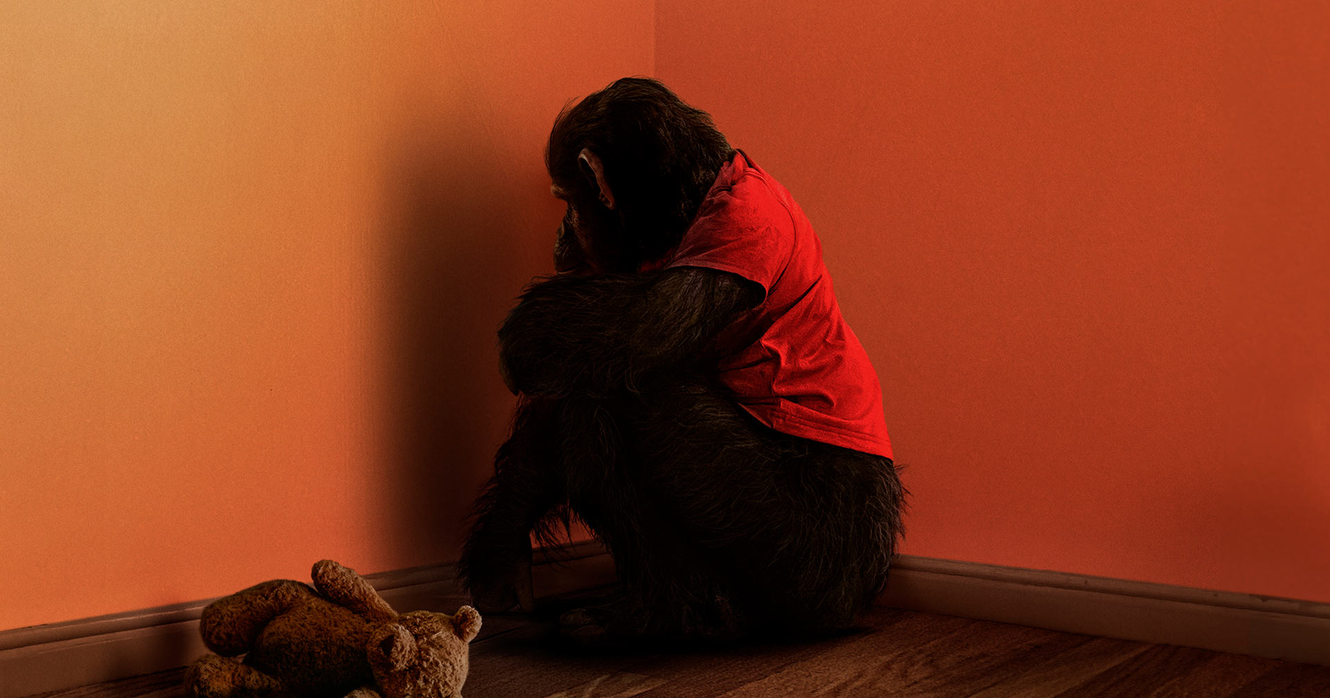 Chimpanzé em fúria se torna uma ameaça mortal no trailer de ‘O Primata’; assista