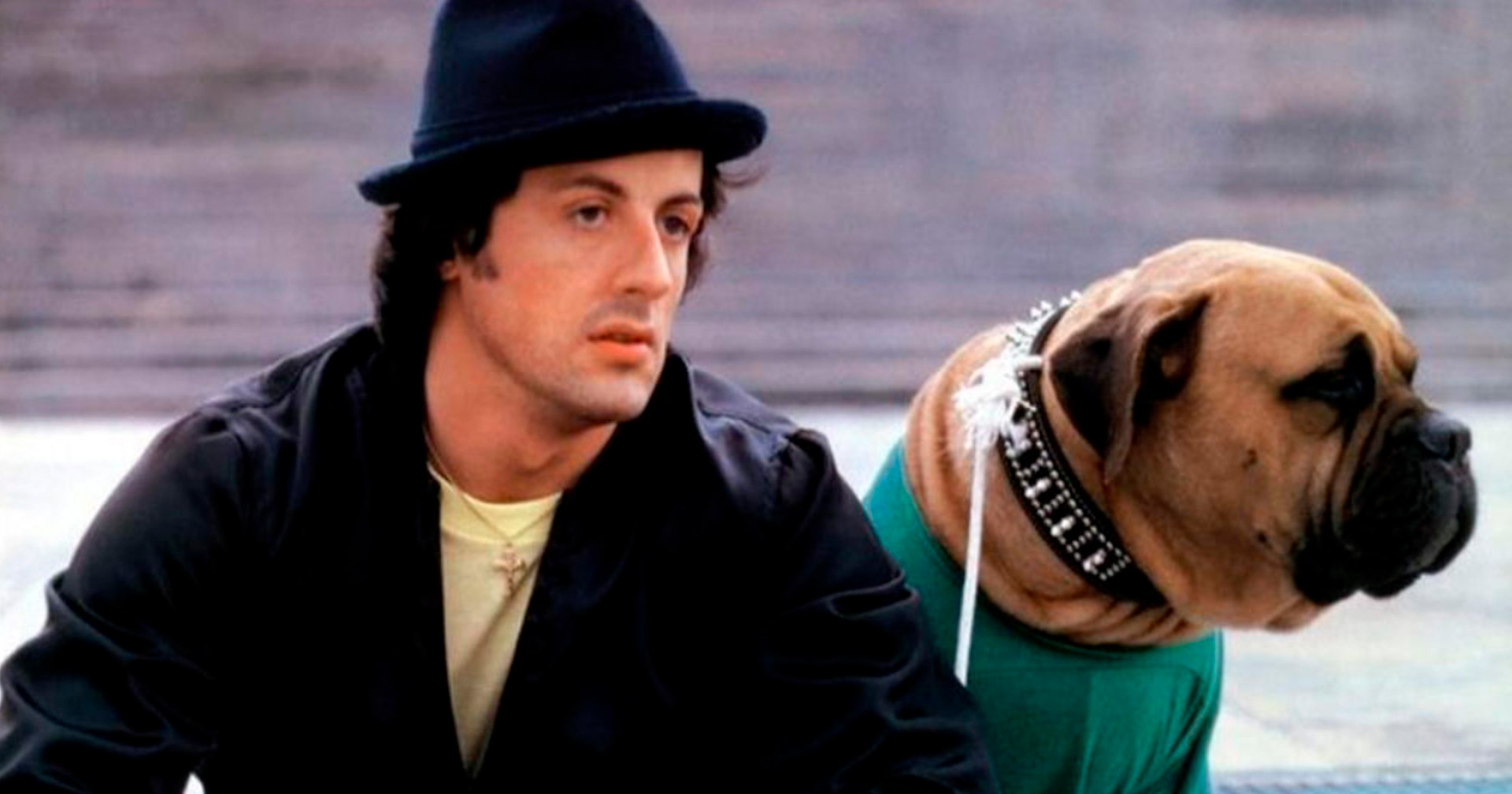 Anthony Ippolito aparece ao lado de cachorro em imagem oficial de ‘I Play Rocky’
