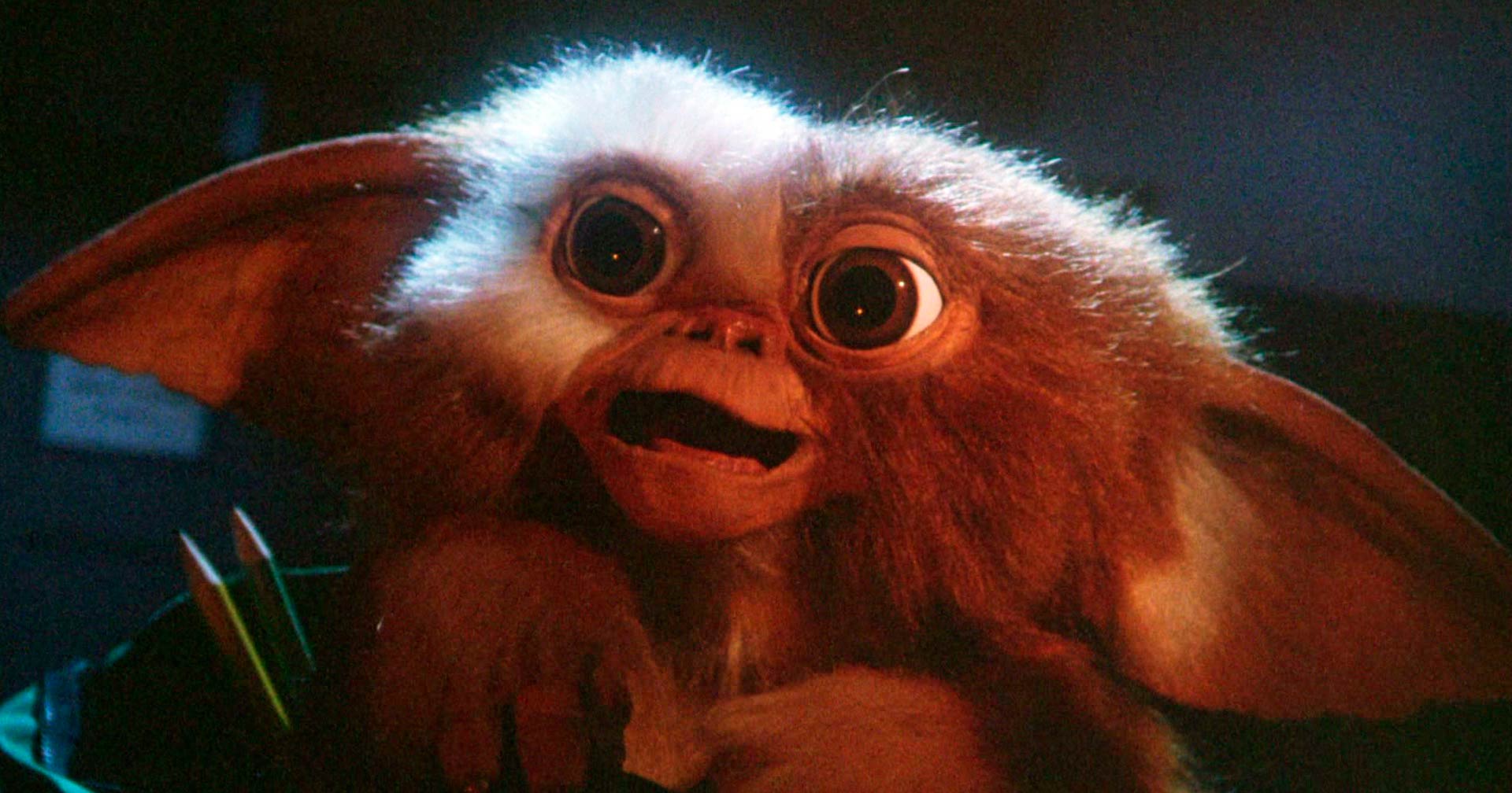 Warner Bros. revela a previsão de estreia de ‘Gremlins 3’ nos cinemas; confira a data