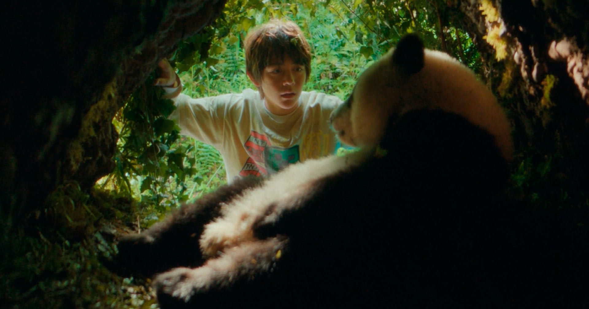 Amizade improvável destaca a conexão entre humanidade e natureza no trailer de ‘O Menino e o Panda’