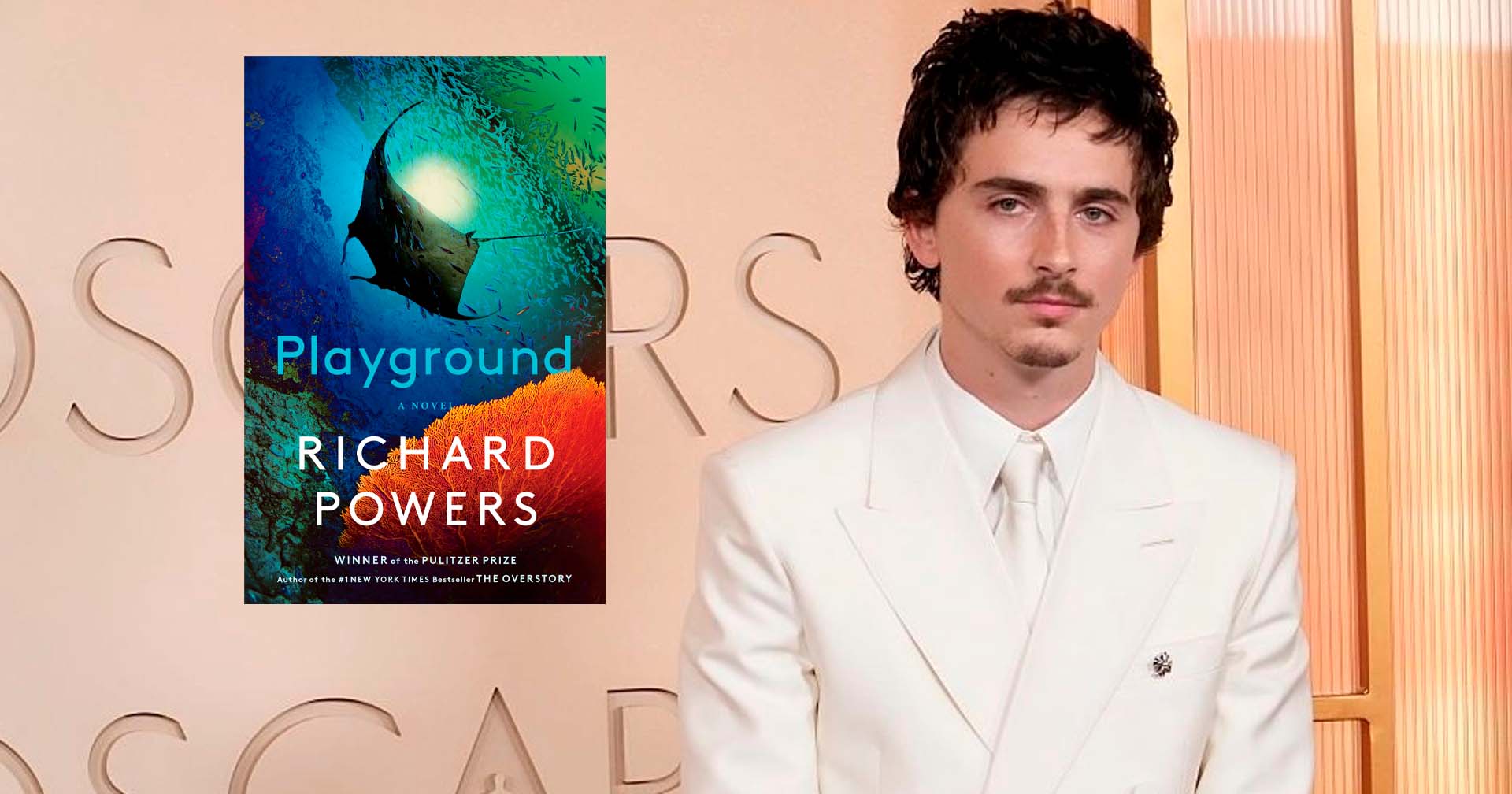 Timothée Chalamet vai produzir ‘Playground’, novo projeto da Warner Bros. Pictures