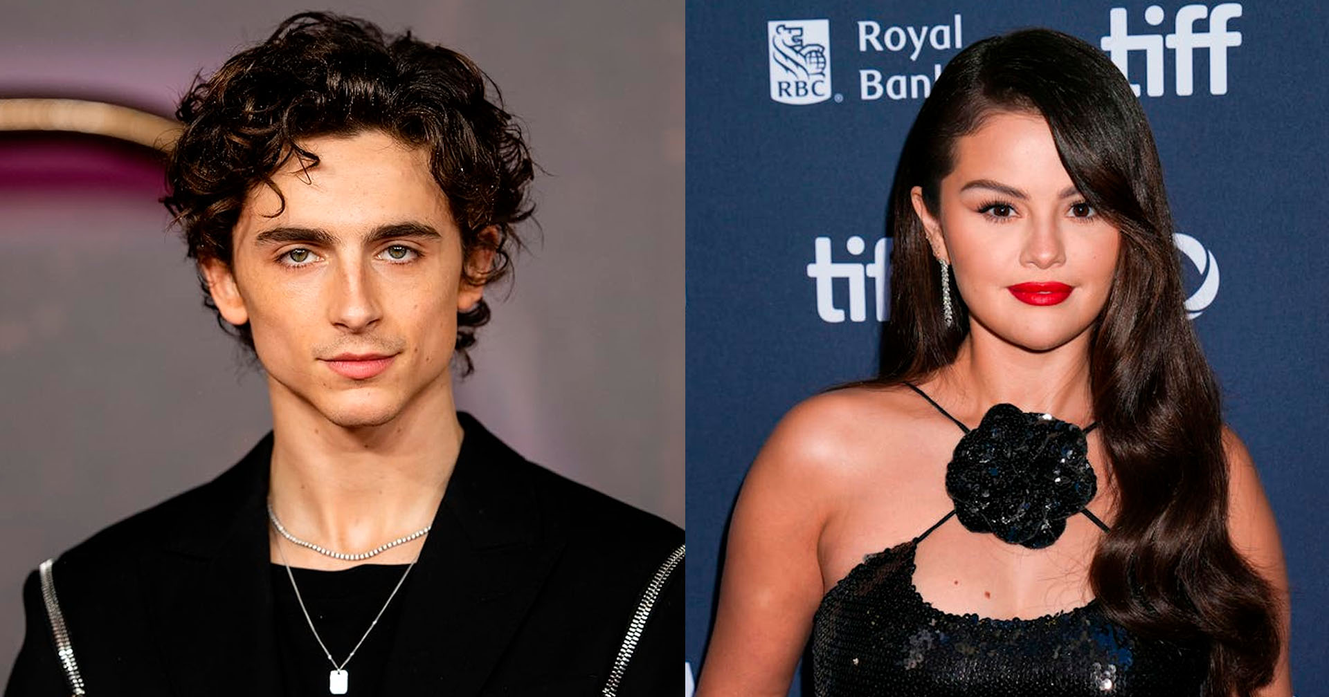 Timothée Chalamet e Selena Gomez vão estrelar nova animação da Illumination; confira primeiro pôster