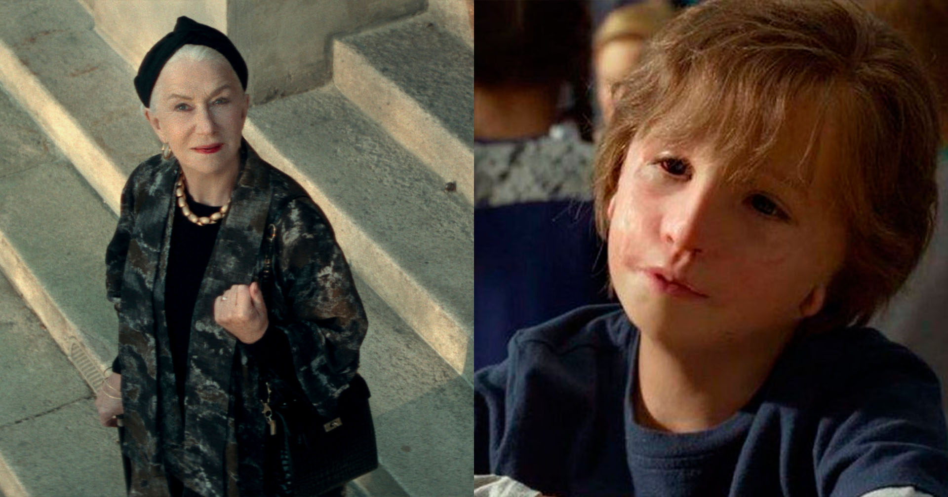 Pássaro Branco | Aguardado spin-off de “Extraordinário” ganha primeiro trailer; assista!