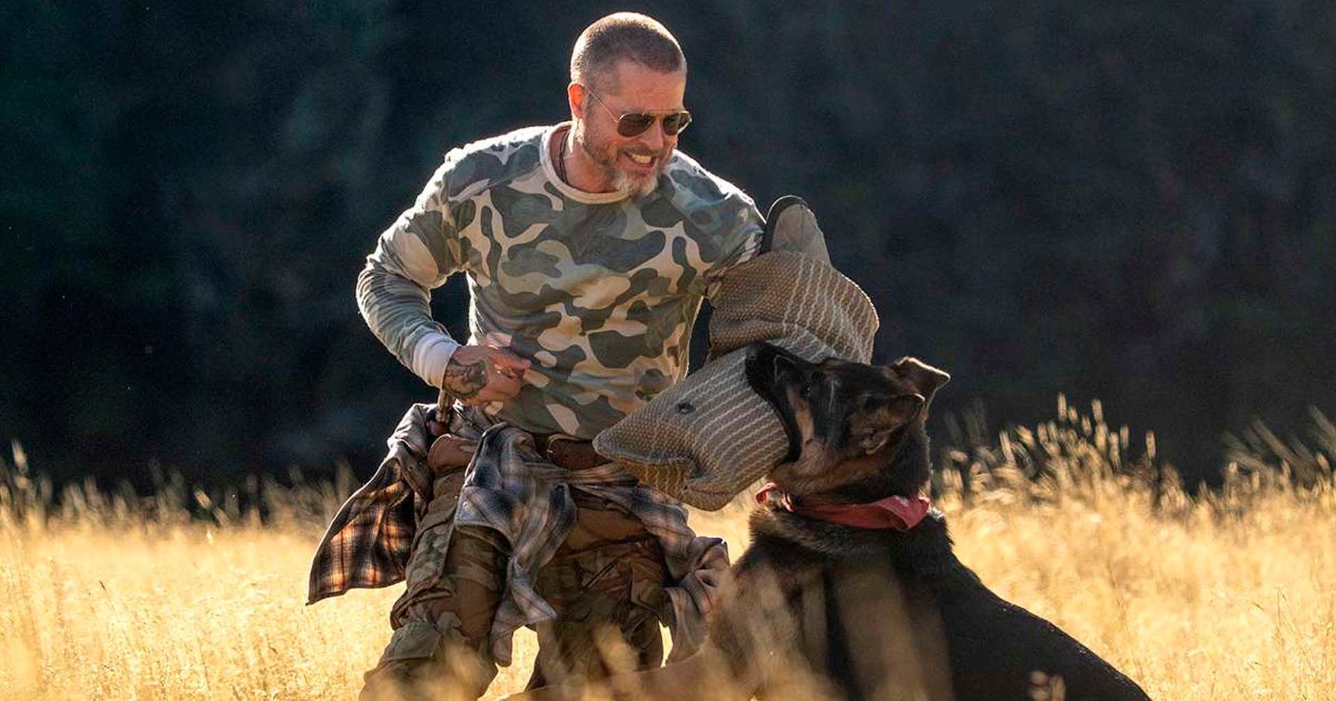 'Coração Selvagem': novo trailer destaca parceria entre Brad Pitt e Odin, seu cão de combate