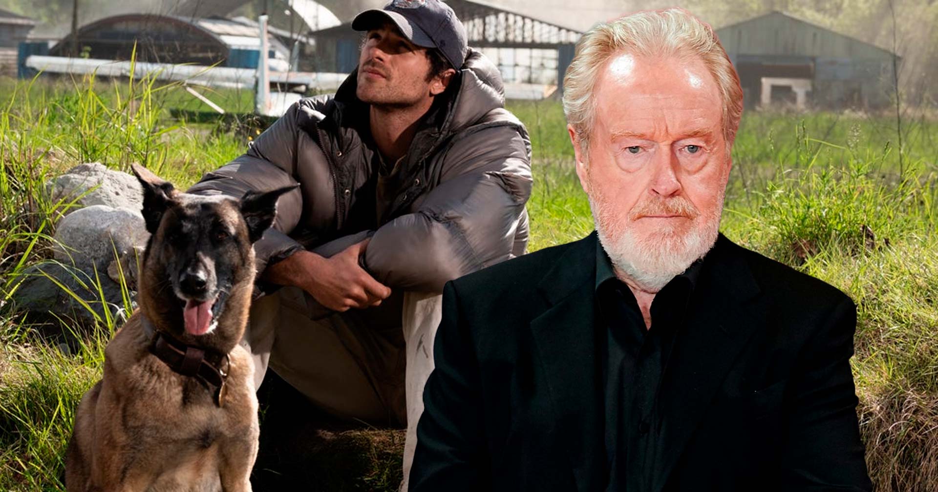 Aos 88 anos, Ridley Scott descarta se aposentar após 'Ponto Sem Retorno': 'Sou um influenciador'