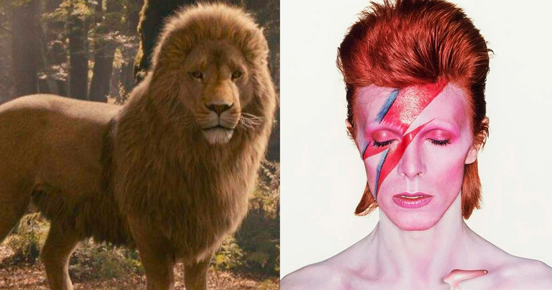 Greta Gerwig revela inspiração em David Bowie para nova adaptação de 'As Crônicas de Nárnia'