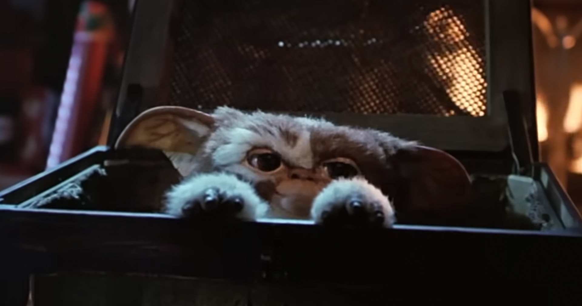 Gizmo de volta? Teaser trailer de 'Gremlins 3' revela personagem e data de estreia do novo filme