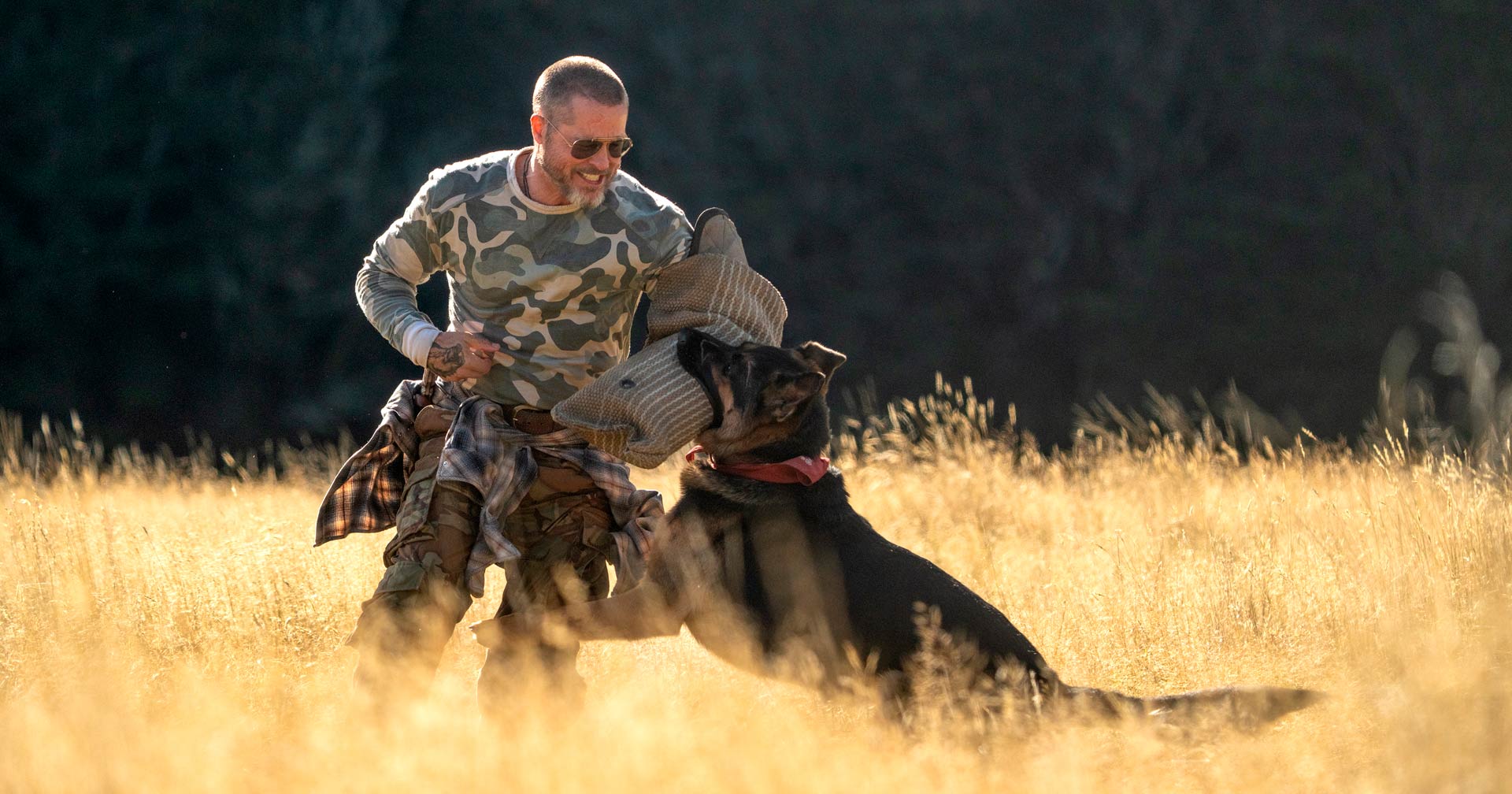 O cachorro de 'Coração Selvagem', novo filme de Brad Pitt, morre no final?