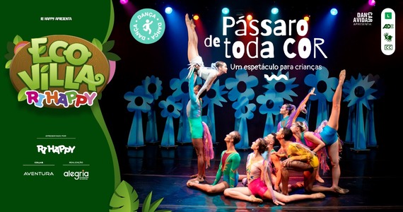 Pássaro De Toda Cor