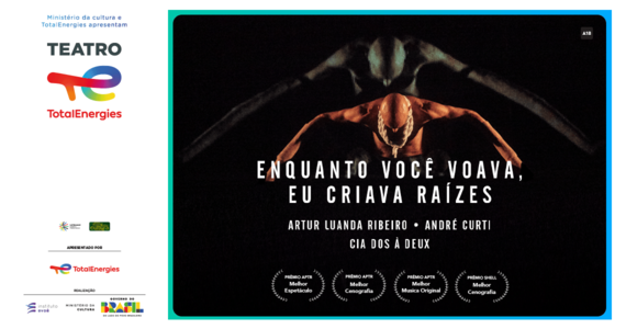 Enquanto Você Voava, Eu Criava Raízes