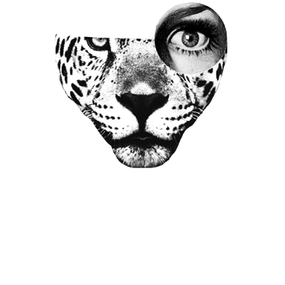 Pagu Pictures