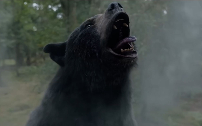 ‘O Urso do Pó Branco’: a história real de “Pablo Escobear”, o urso que inspira o filme