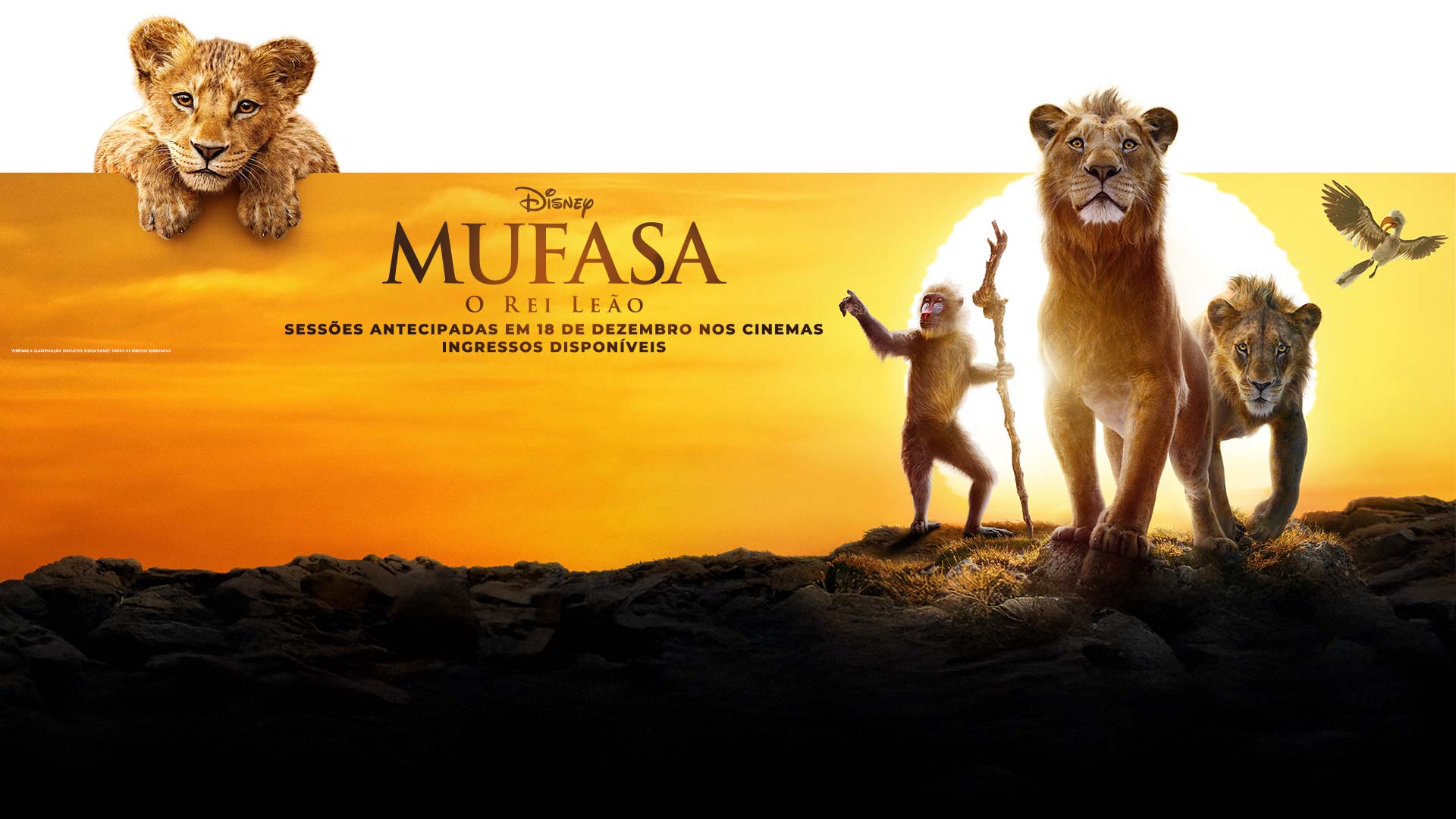 Mufasa: O Rei Leão