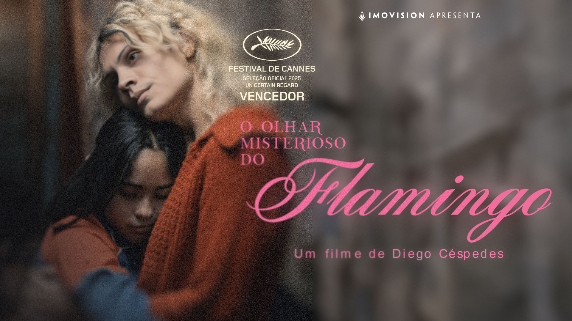 O Olhar Misterioso do Flamingo