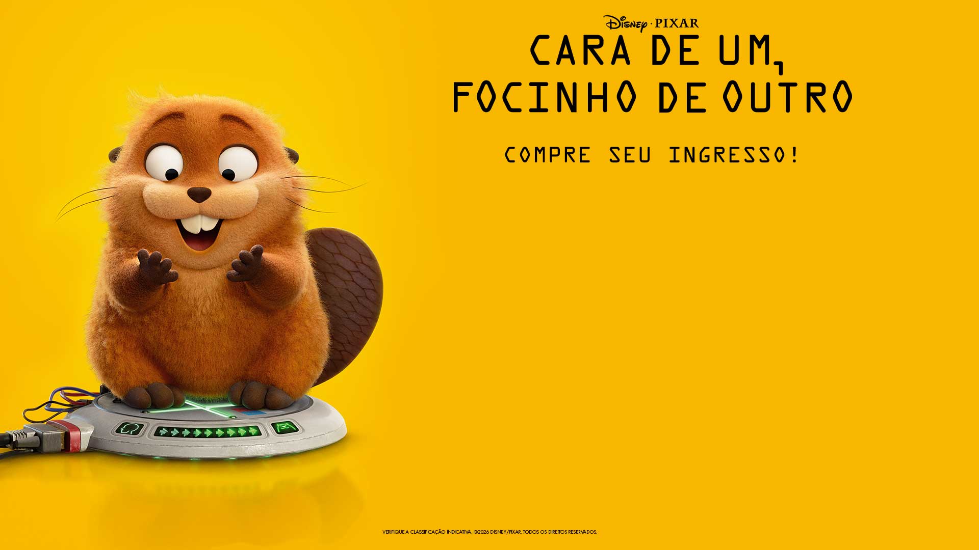 Cara de Um Focinho de Outro