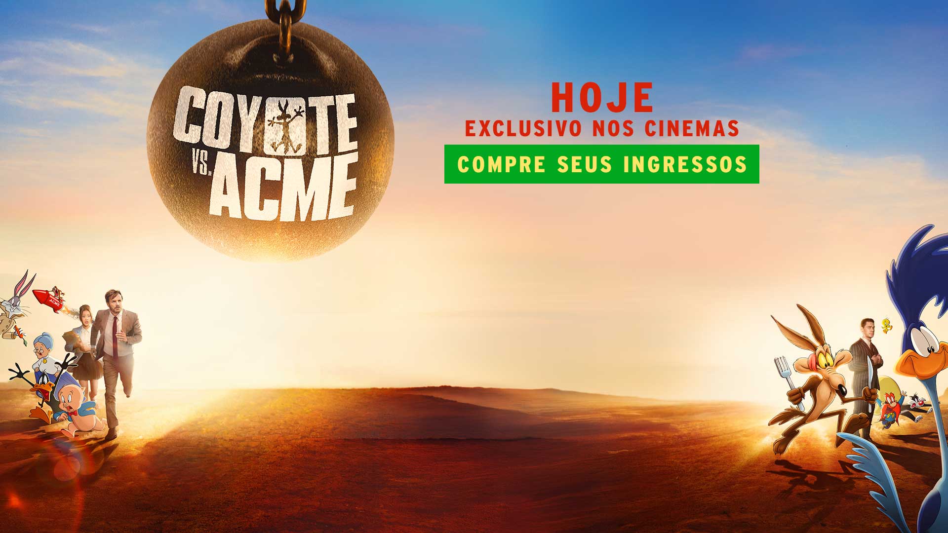 Coyote vs. Acme 