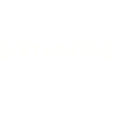 SYNAPSE BRAZIL