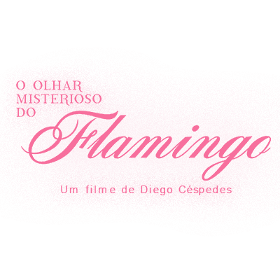 RESERVA NACIONAL DISTRIBUIDORA DE FILMES LTDA.