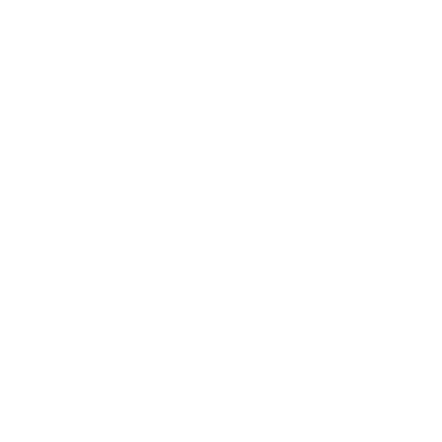 SYNAPSE BRAZIL