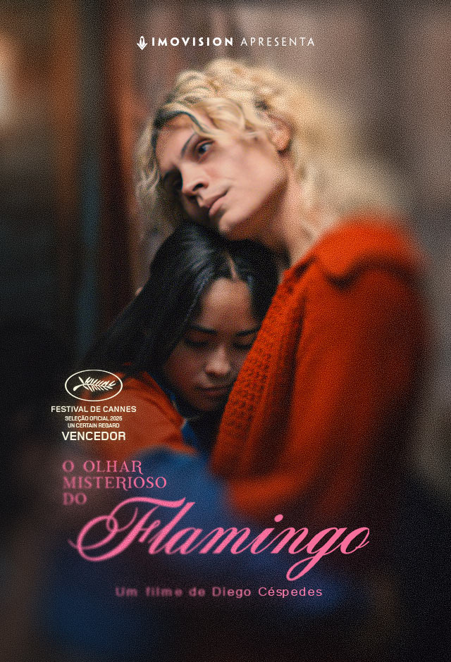Filme: O Olhar Misterioso do Flamingo