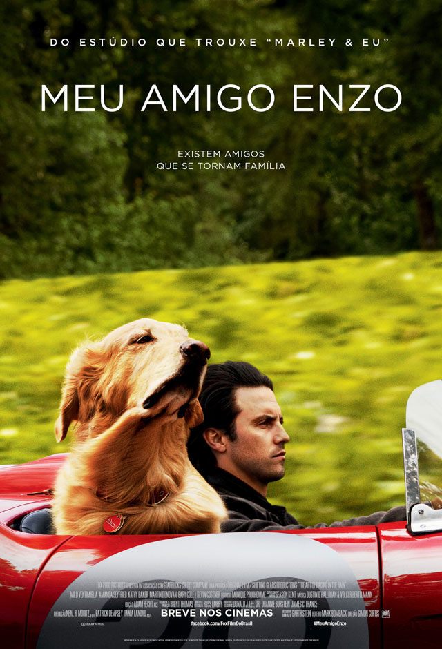 Filme: Meu Amigo Enzo