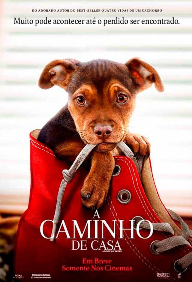 Filme: A Caminho de Casa