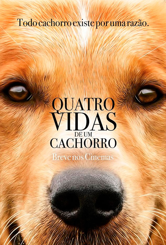 Quatro Vidas de um Cachorro