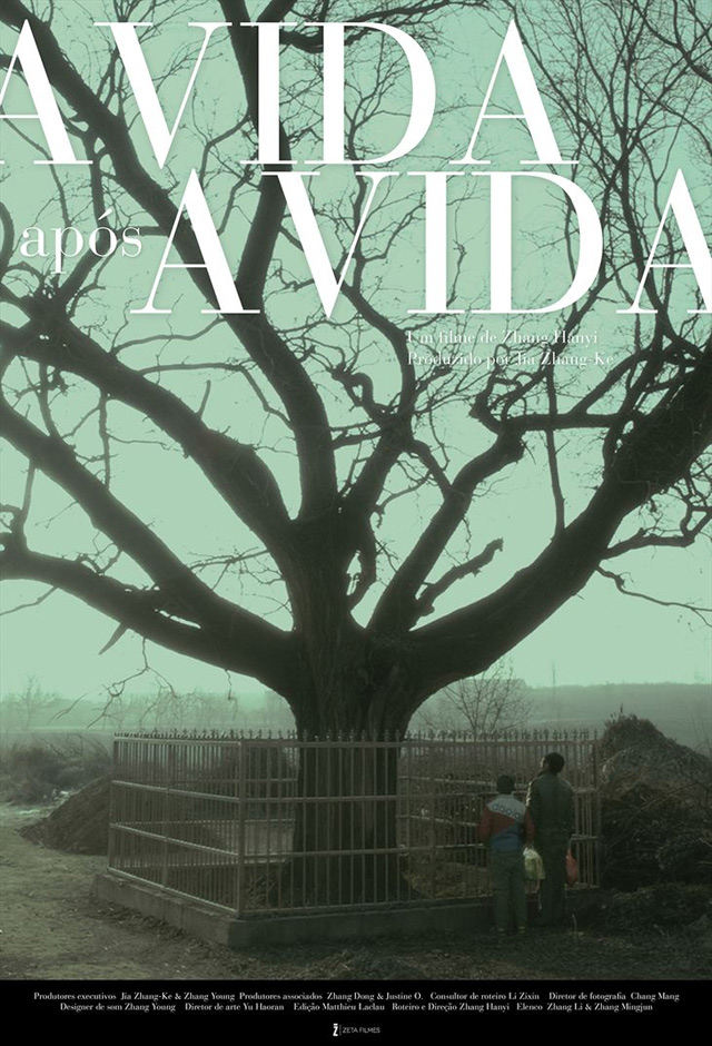 A vida após a vida