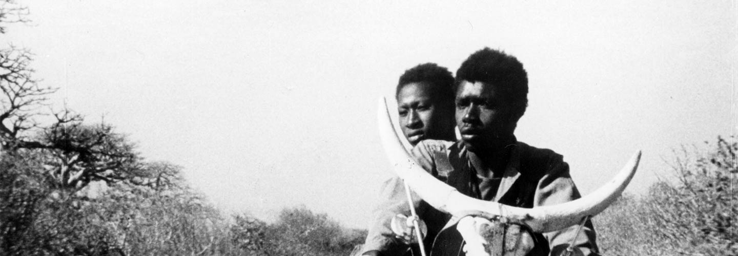Touki Bouki, A Viagem Da Hiena