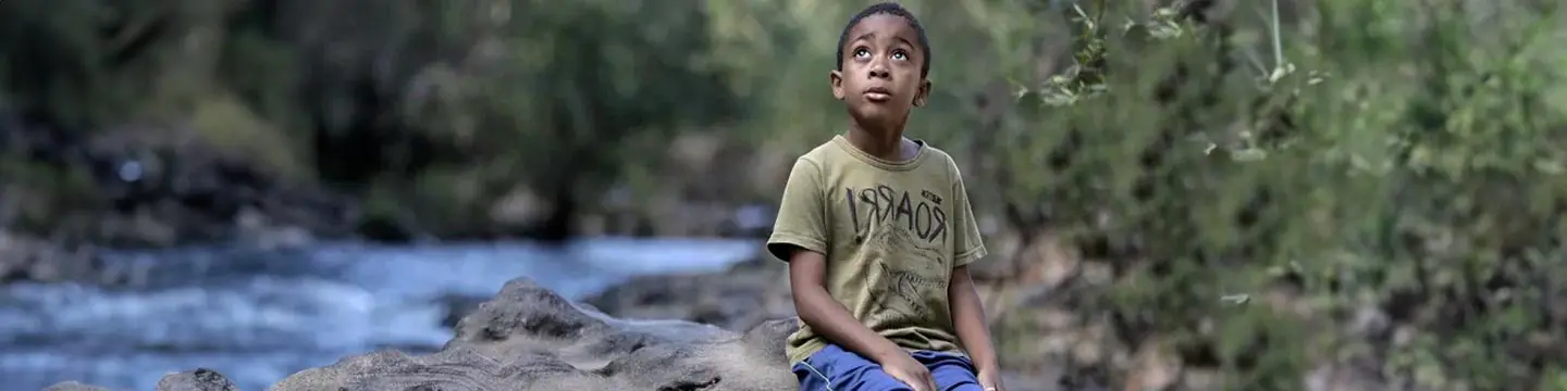 A Mensagem De Jequi