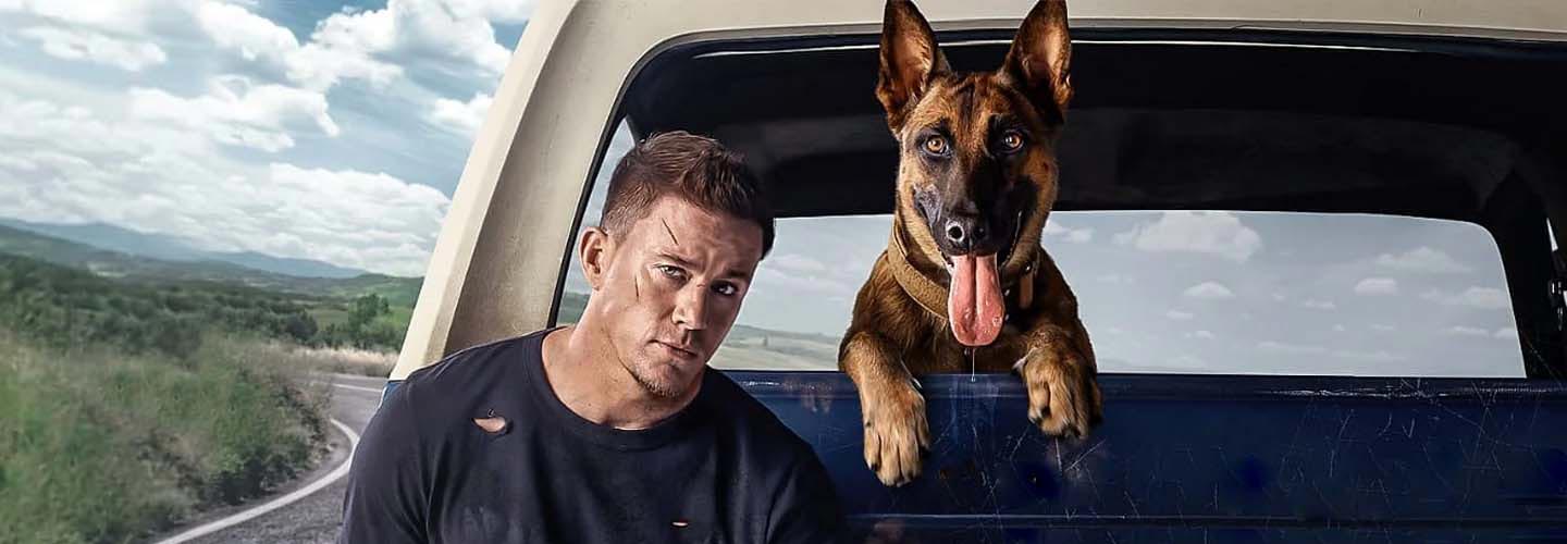 Dog: A Aventura de Uma Vida