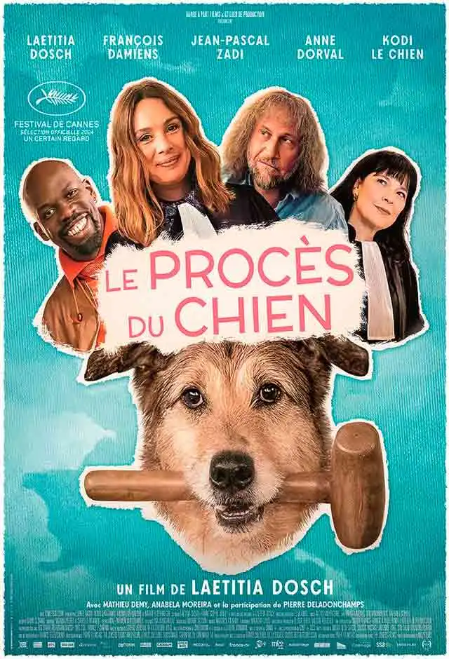 O Julgamento Do Cachorro