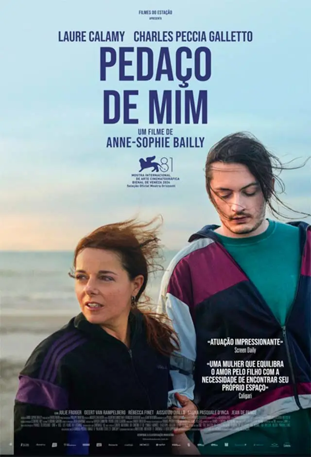 Pedaço De Mim