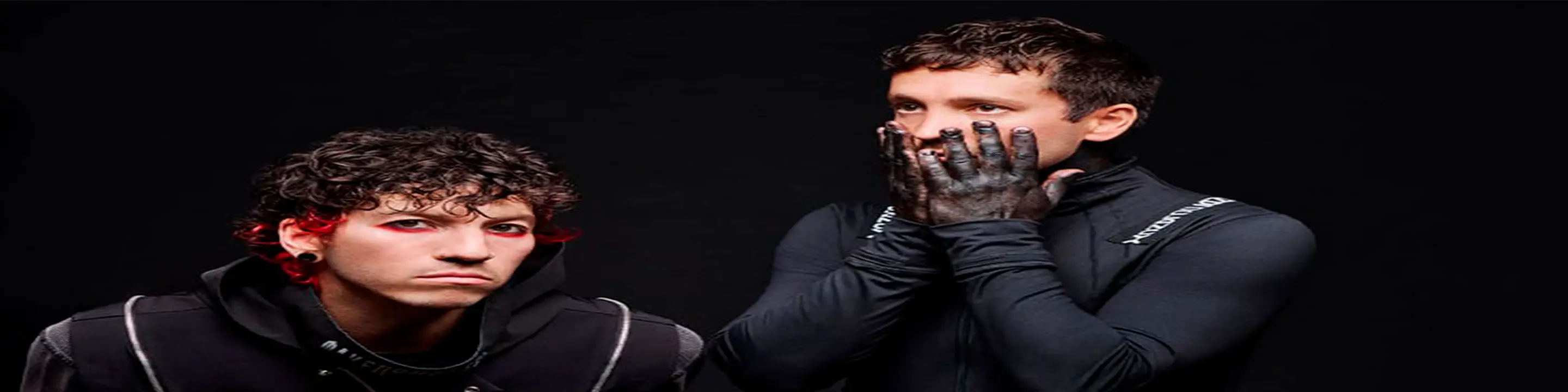 Twenty One Pilots: More Than We Ever Imagined