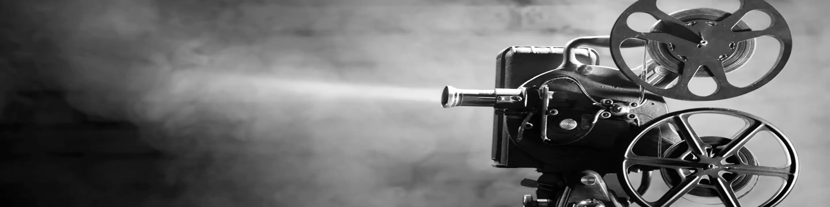 Vai Trabalhar Vagabundo!