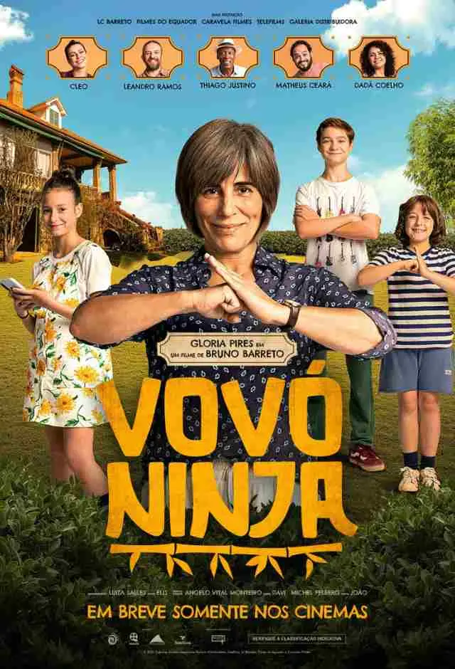 Cartaz do filme Vovó Ninja